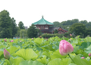 낮에 보는 시노바즈노이케