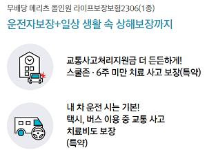 메리츠화재 올인원 운전자보험 이미지