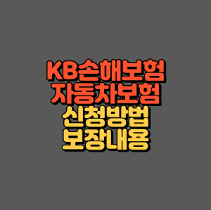 KB손해보험 자동차보험