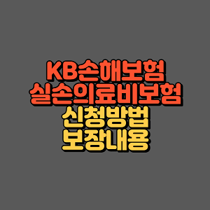 KB손해보험 실손의료비보험