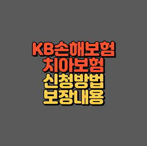 KB손해보험 치아보험