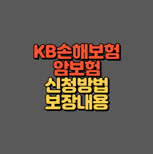 KB손해보험 암보험