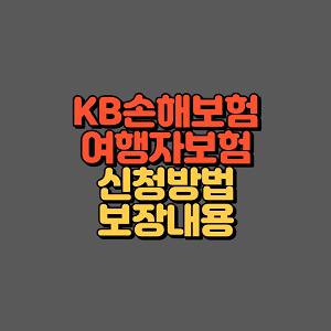 KB손해보험 여행자보험