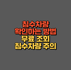 침수차량