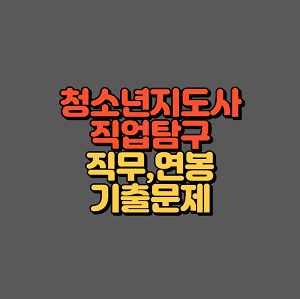 청소년지도사