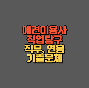 애견미용사