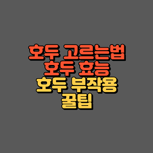 호두 고르는법