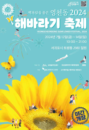 영천동 해바라기 축제 포트서