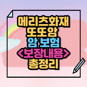 메리츠 또또암 보험